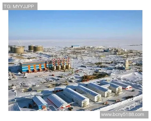 亚马尔地区的资源开发与国际合作前景分析及其对全球能源市场的影响