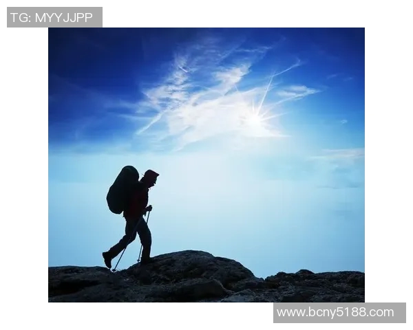 恩佐的成长之路：从初出茅庐到行业翘楚的奋斗历程与启示