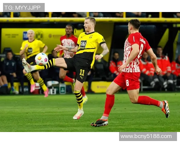 弗赖堡对阵多特蒙德精彩在线直播全程回顾与分析 弗赖堡对阵多特蒙德精彩在线直播全程回顾与分析