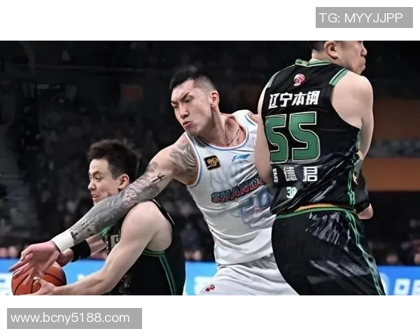 陶汉林：从篮球场上的拼搏到人生舞台的辉煌旅程