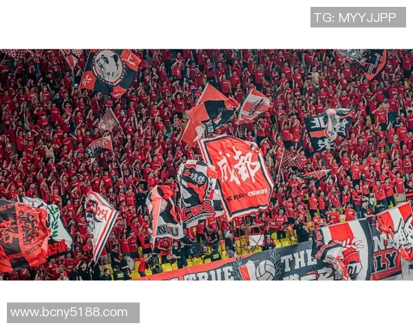 成都排球队征战洲际杯的拼搏故事与荣耀之路