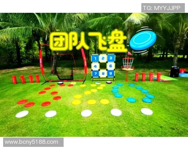 飞盘运动的魅力与挑战深入了解深圳飞盘队的耐力与团队精神