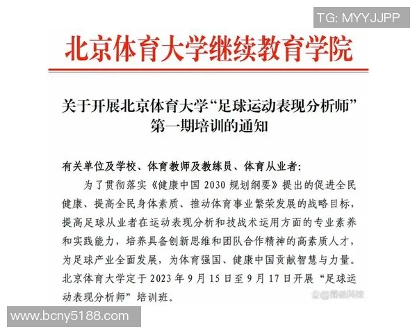 上海排球队意识表现的深度数据分析与战术探讨